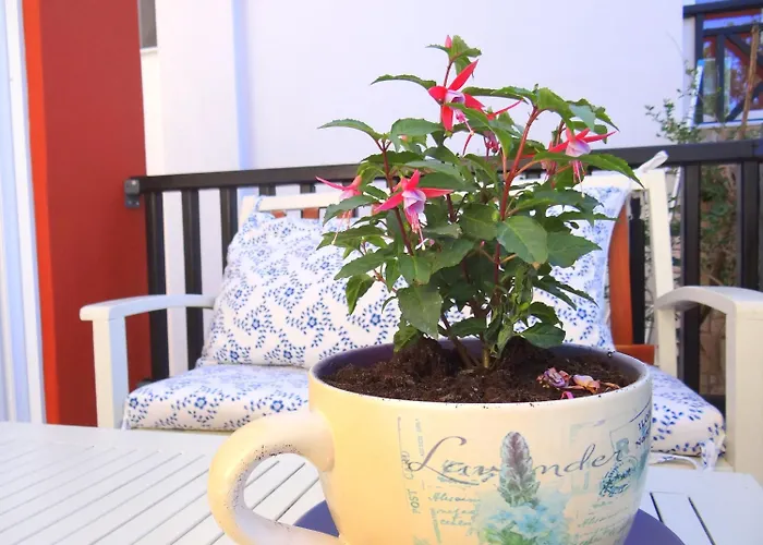 Aparthotel Aeollos 3*